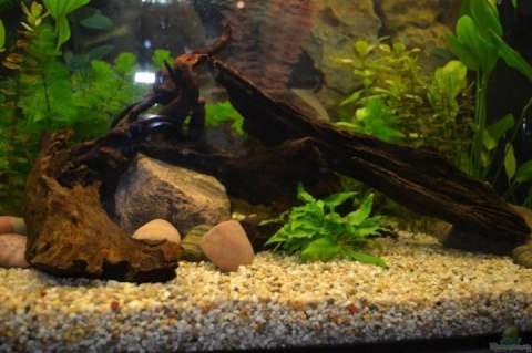 15 KG ŻWIREK ŻWIR 0,5-3MM DO AKWARIUM 7XPŁUKANY 15 KG ŻWIREK ŻWIR 0,5-3MM DO AKWARIUM 7XPŁUKANY